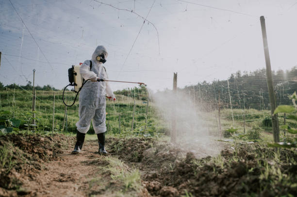 Best Ant Control Services  in Gray, GA