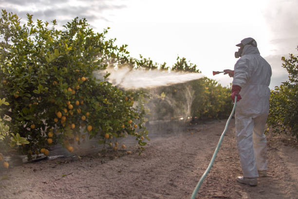 Best Commercial Pest Control Services  in Gray, GA