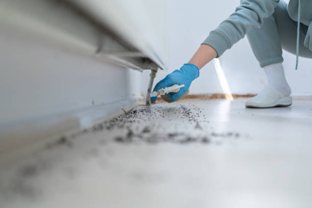 Pest Control for Restaurants in Gray, GA